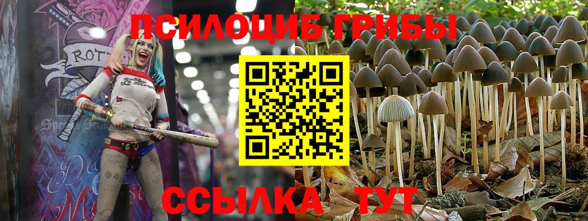 Галлюциногенные грибы Cubensis Ханты-Мансийск